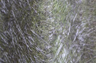 Weston In Gordano fibreglass roof work